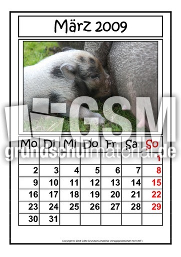 3-März-2009-hoch.pdf